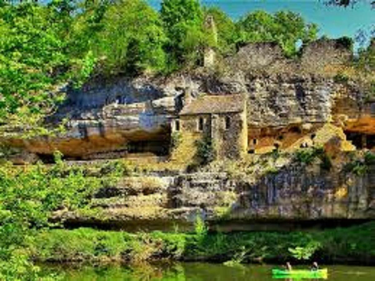 Les Pruniers De La Cipiere Villa Peyzac-le-Moustier Exteriör bild