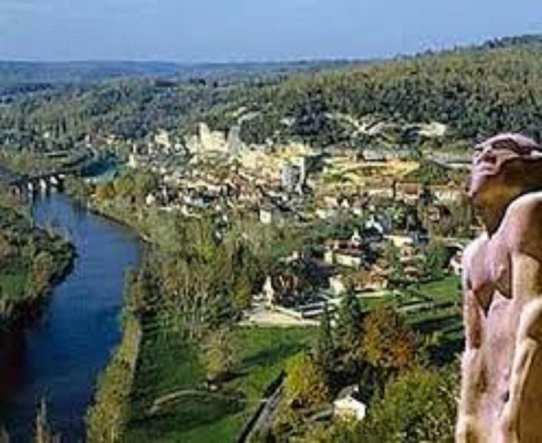 Les Pruniers De La Cipiere Villa Peyzac-le-Moustier Exteriör bild