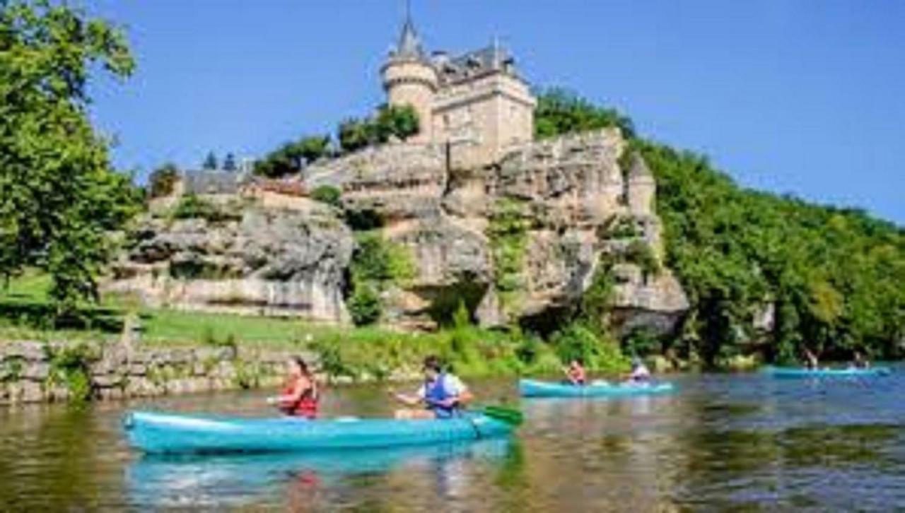 Les Pruniers De La Cipiere Villa Peyzac-le-Moustier Exteriör bild