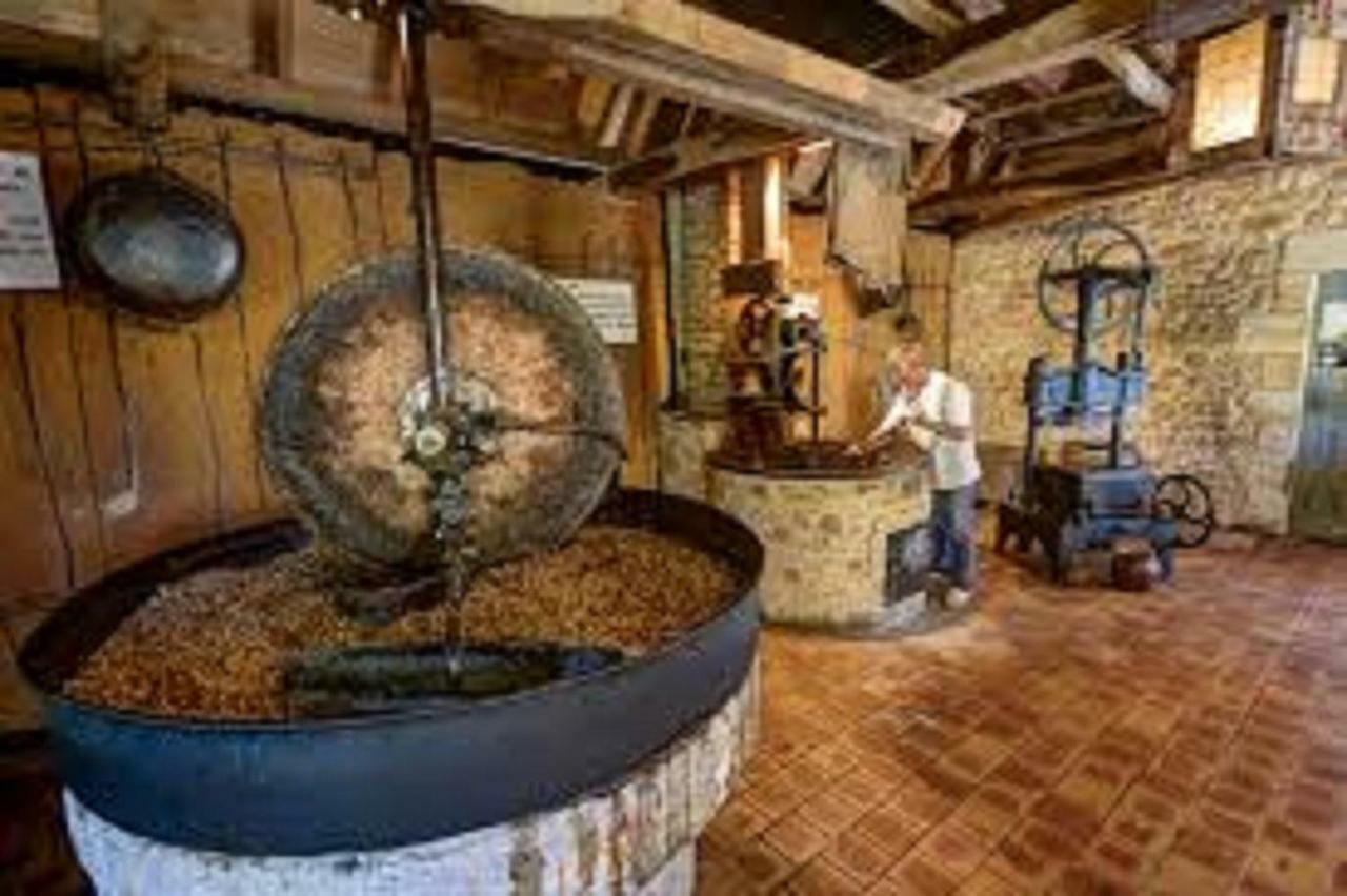 Les Pruniers De La Cipiere Villa Peyzac-le-Moustier Exteriör bild
