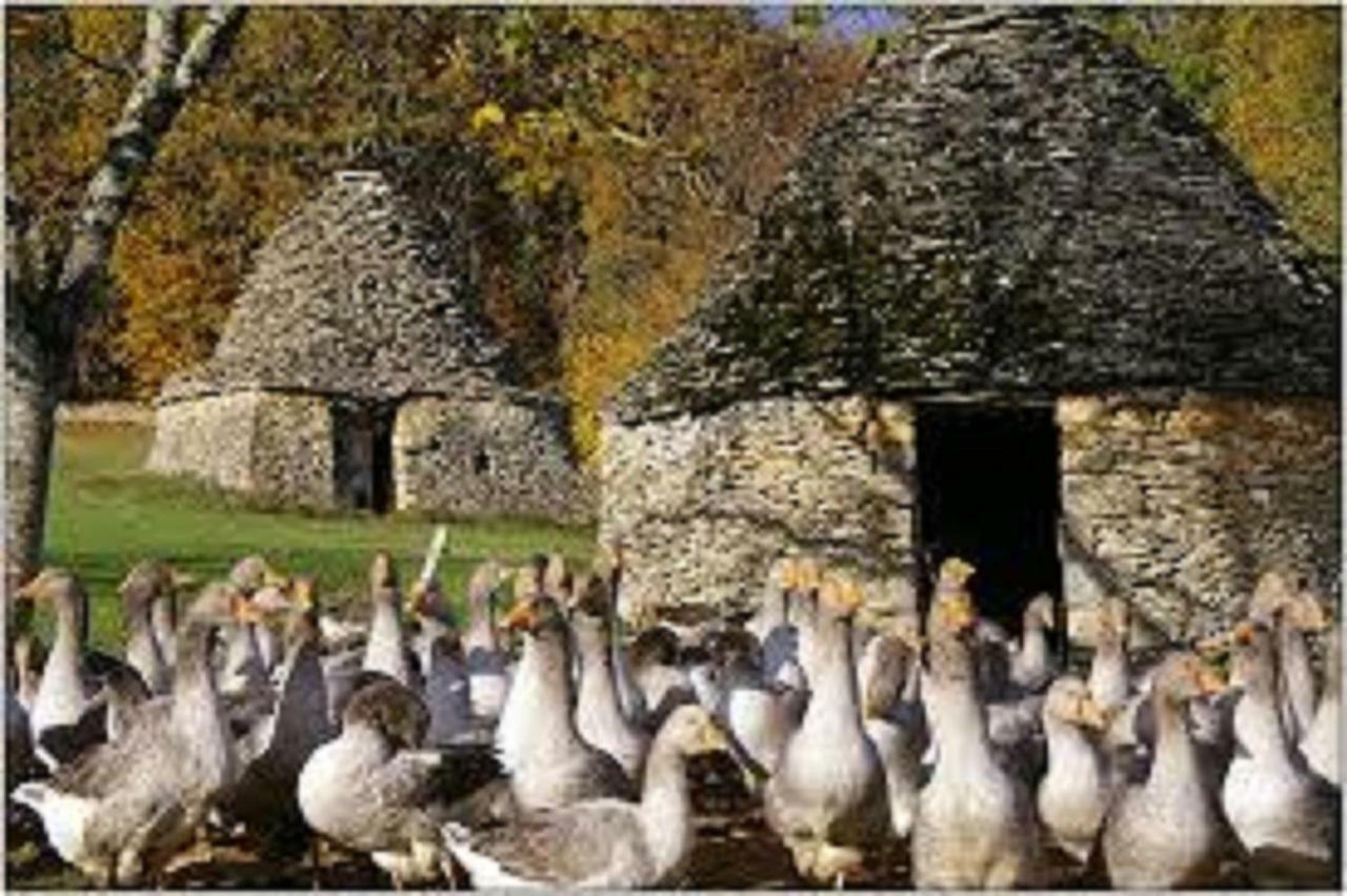 Les Pruniers De La Cipiere Villa Peyzac-le-Moustier Exteriör bild