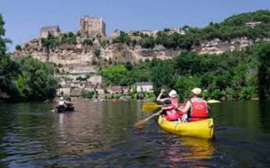 Les Pruniers De La Cipiere Villa Peyzac-le-Moustier Exteriör bild