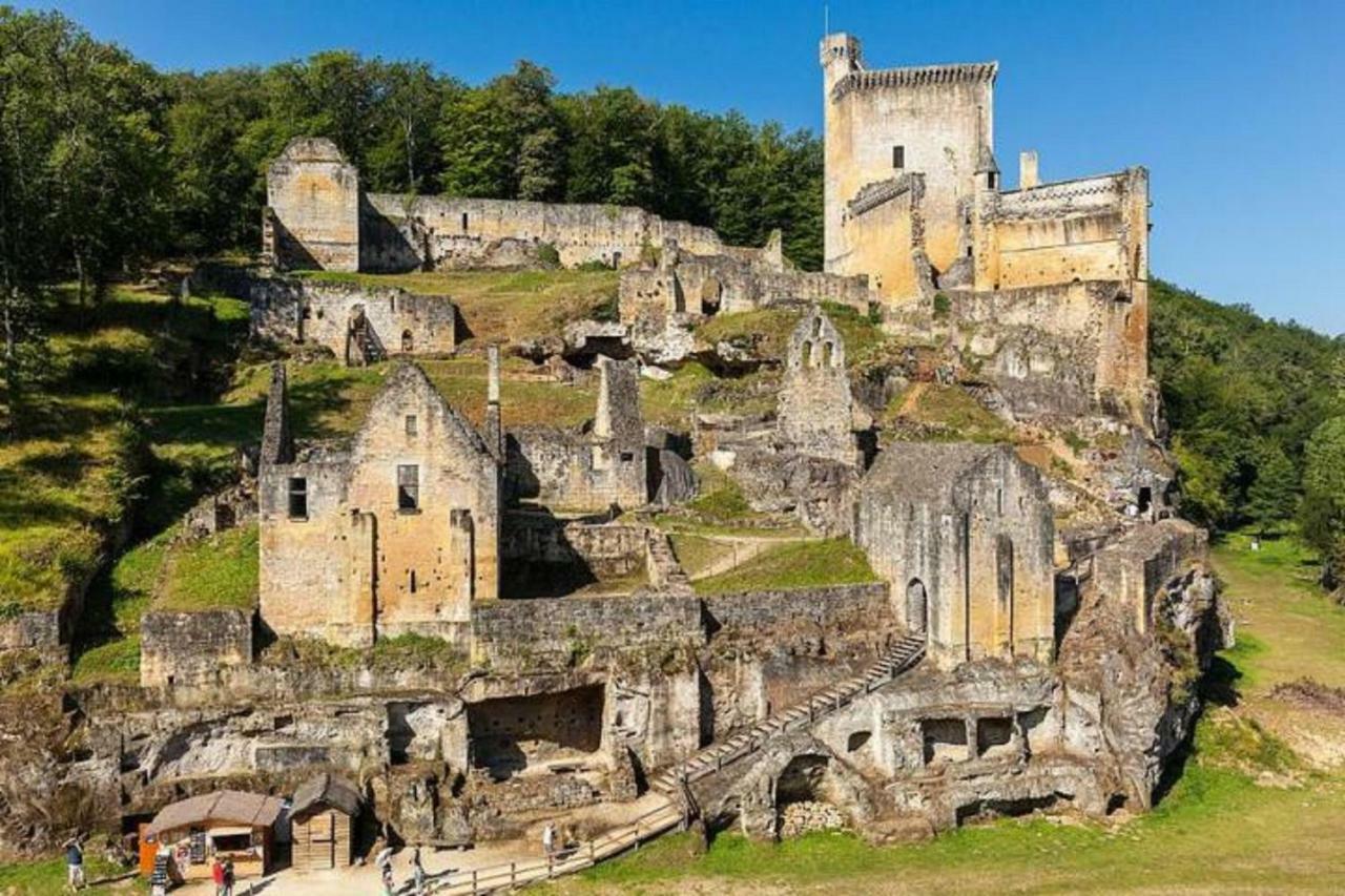 Les Pruniers De La Cipiere Villa Peyzac-le-Moustier Exteriör bild